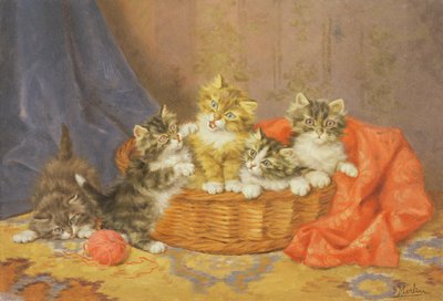 In the Basket by Daniel Merlin
